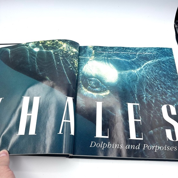 Whales Dolphins & Porpoises National Geographic Hardcover Coffee Table Book - Picture 3 of 10